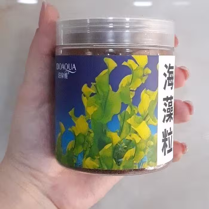 ماسک صورت پودری گرانول جلبک دریایی بیوآکوا BIOAQUA حجم 200 گرم