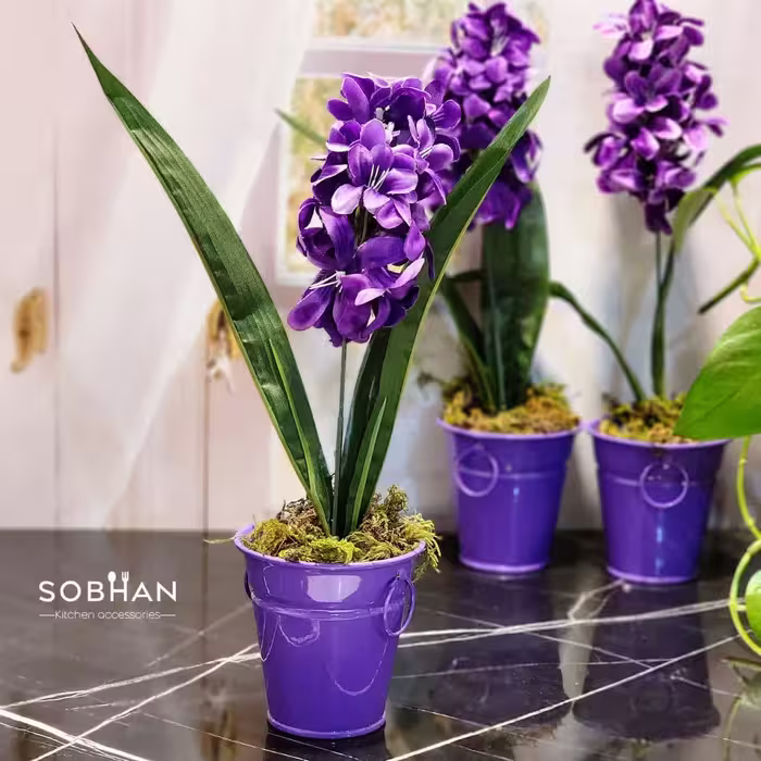 گلدان سنبل وارداتی