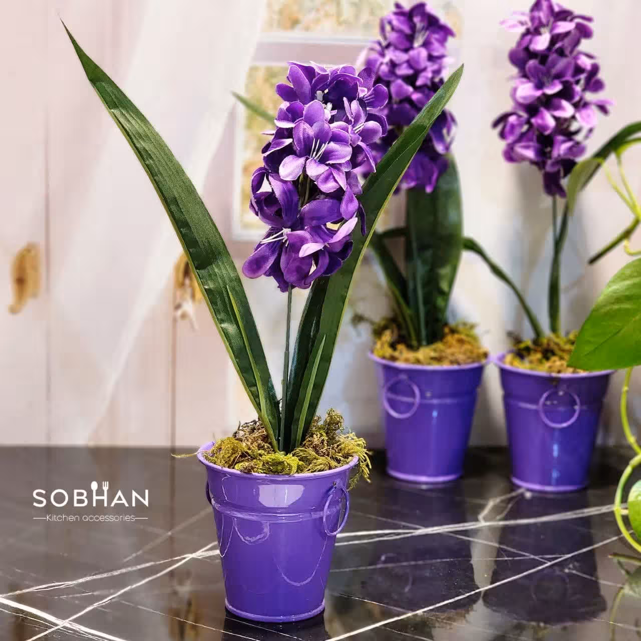 گلدان سنبل وارداتی