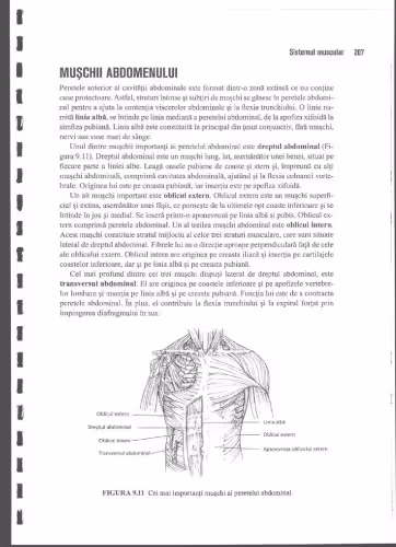 خرید و دانلود نسخه کامل کتاب Anatomie Si Fiziologie Umana Pentru Admitere La Facultatile de Medicina Partea 2 Anatomia Omului