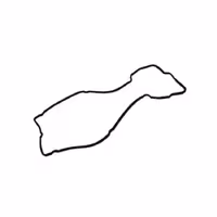 واشر درب سوپاپ اریو