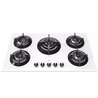 گاز صفحه ای رابیتس RG-551W