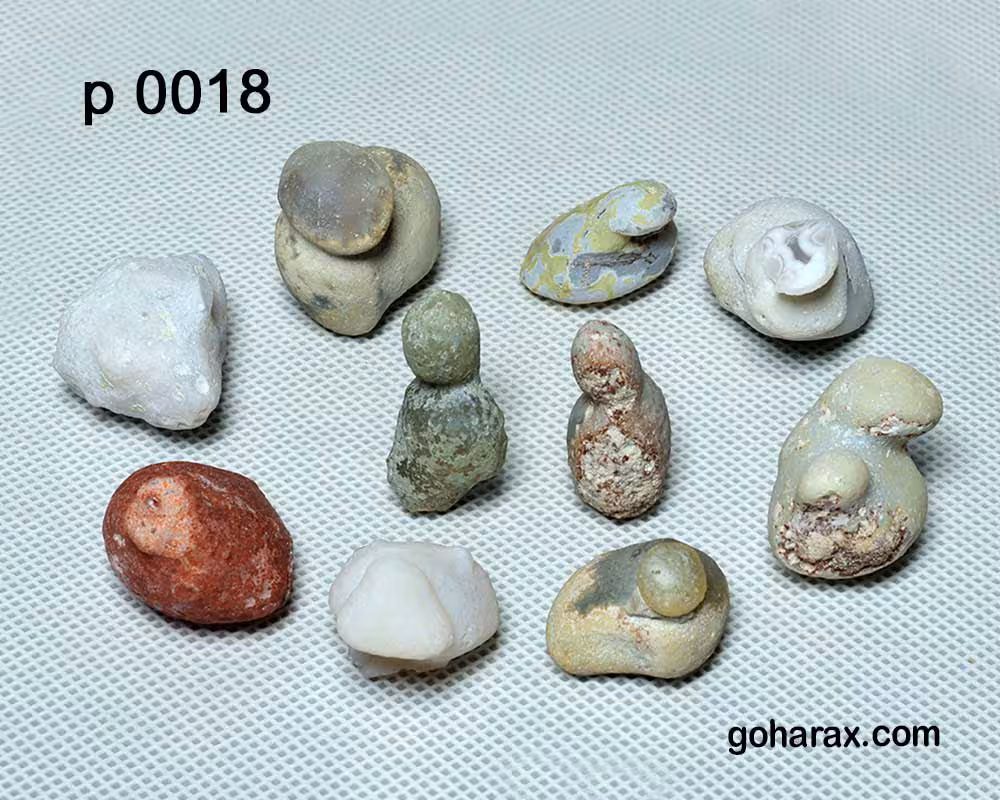 کالکشن سنگ های طبیعی طرح حیوانات