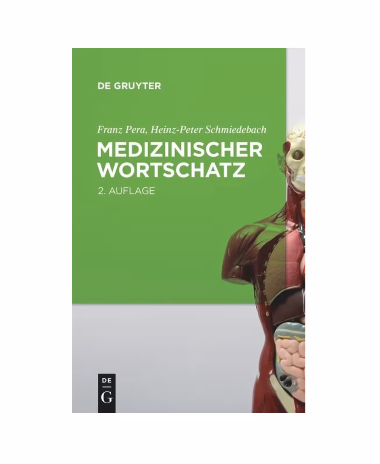 Medizinischer Wortschatz