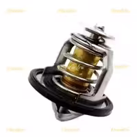 ترموستات-LF820