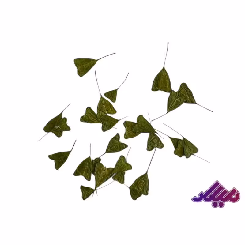 گل خشک برگ قلبی 30 عددی