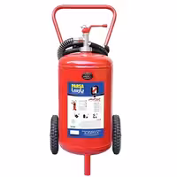 کپسول آتش نشانی 25 کیلوگرمی پودر و گاز پارسا