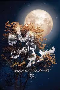 کتاب سر بر دامن ماه نوشته فاطمه دولتی