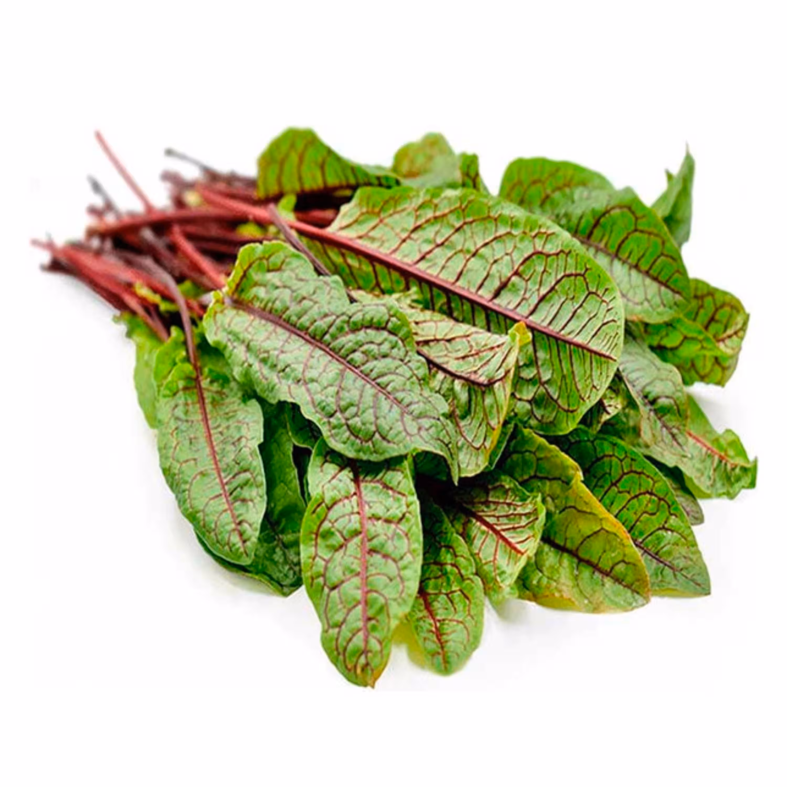 سبزی سورل - 400 گرم