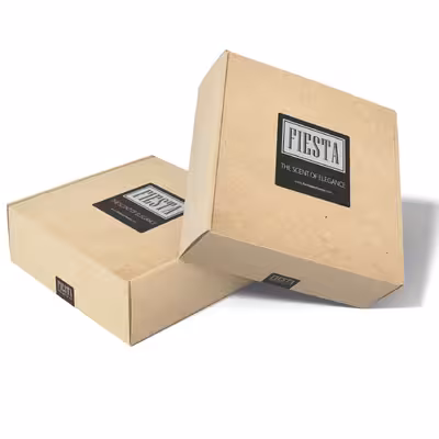 ادو پرفیوم زنانه فیستا مدل Chanel Chance Tendre حجم 100 میلی لیتر به همراه ادو پرفیوم مردانه فیستا مدل Acqua di Gio Profumo