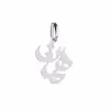 آویز گردنبند نقره هایکا طرح همت مدل n.ha 484