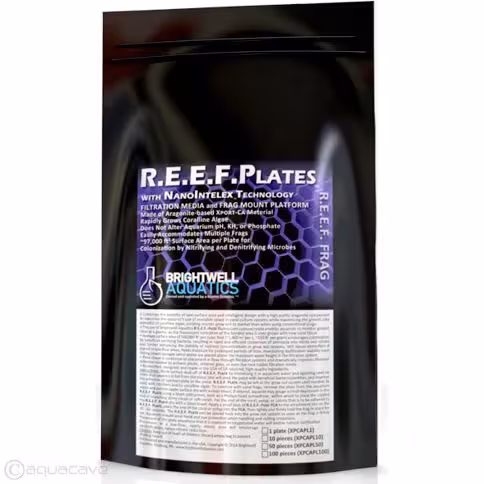 صفحه کاشت مرجان