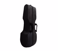 هاردکیس فومی کمانچهHardcase kamanche