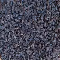 کشمش فخری یک کیلویی