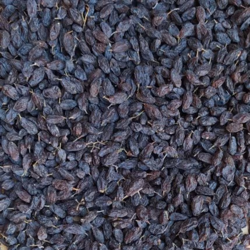 کشمش فخری یک کیلویی