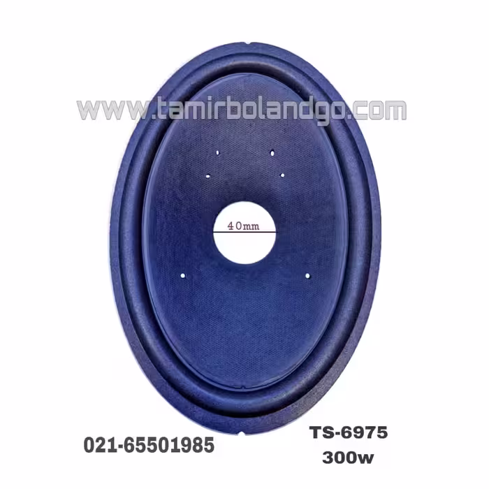 صفحه فابریک 6975 قدیم 300 وات دیافراگم 6975