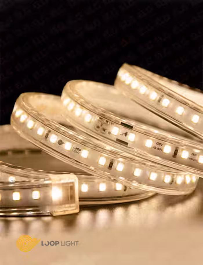 ریسه لوپ لایت تراکم 120 بدون سیم 220 ولت BaseLine