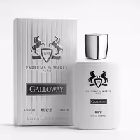 عطر مارلی گالووی برند نایس 100میل | کیفیت عالی و قیمت استثنایی در آساکالا
