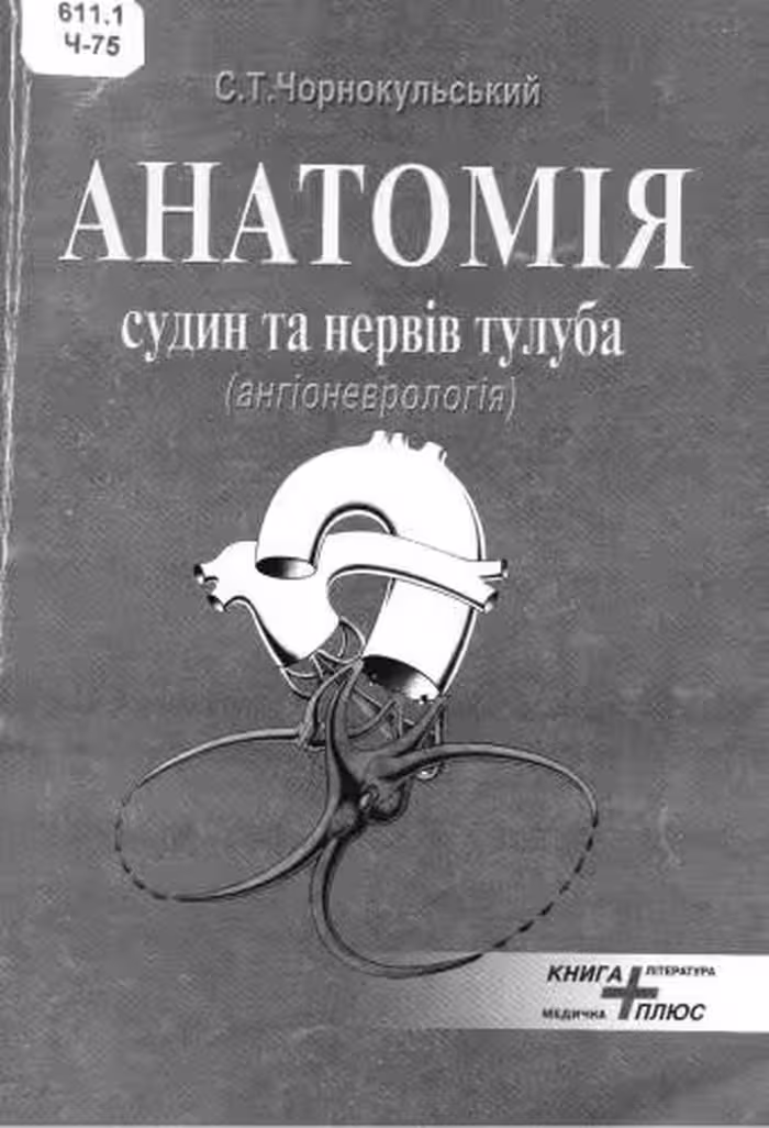 خرید و دانلود نسخه کامل کتاب Анатомія судин та нервів тулуба