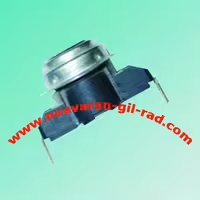 ترموستات 2 فیش فابریک قطع مشکی