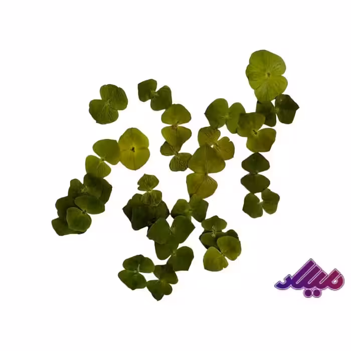 گل خشک برگ پاپیون 20 عددی