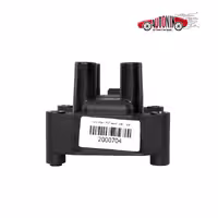 کوئل ساژم برند SSAT پژو 405، پارس ، سمند ، پراید