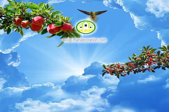 آسمان مجازی میوه کد 243