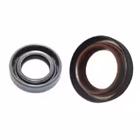 کاسه نمد پلوس برلیانس سری 200