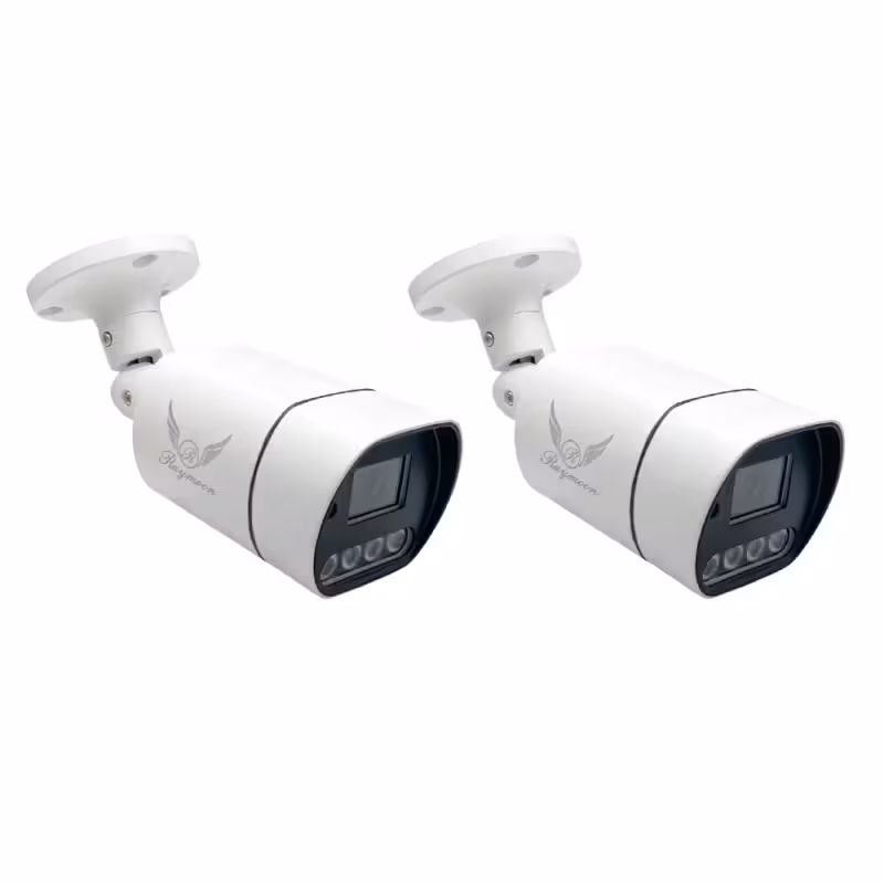 دوربین مداربسته تحت شبکه رایمون مدل 60Q بسته دو عددی 5 مگاپیکسل