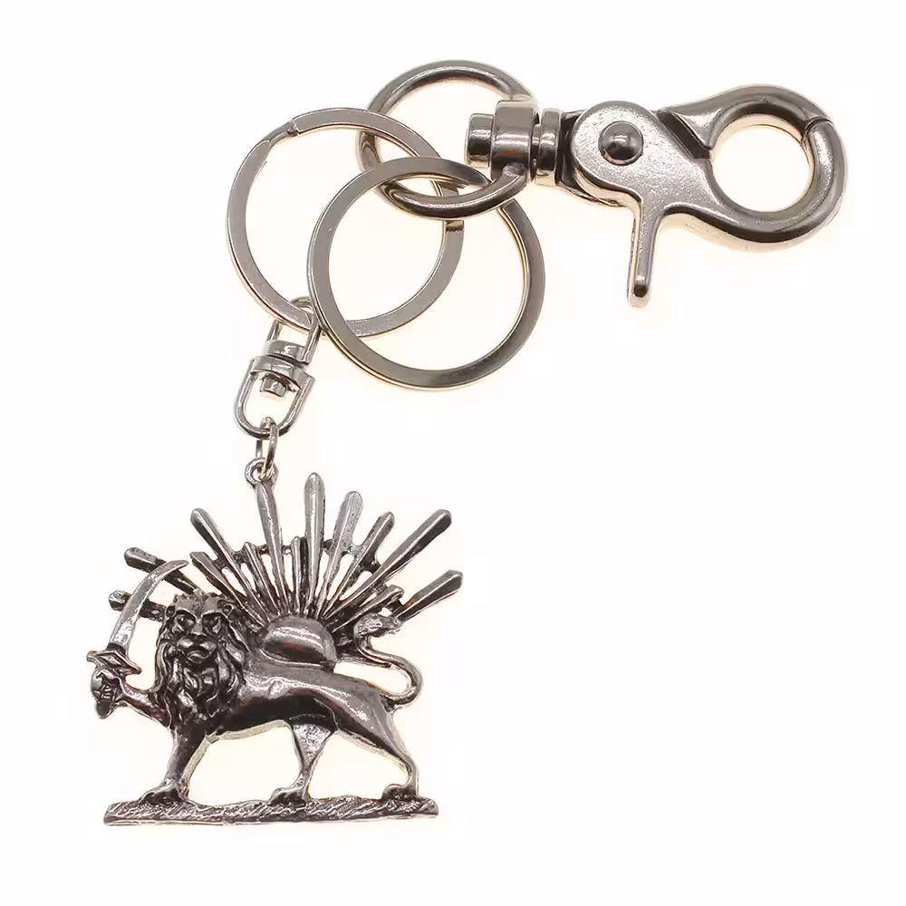 جاسوئیچی شیر