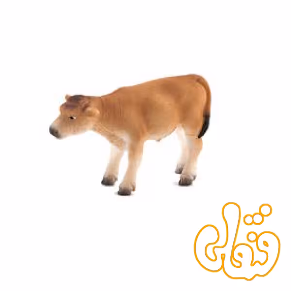 گوساله جرسی ایستاده Jersey Calf Standing 387147