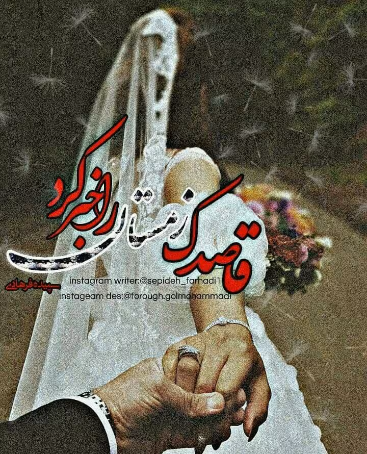رمان قاصدک زمستان را خبر کرد pdf