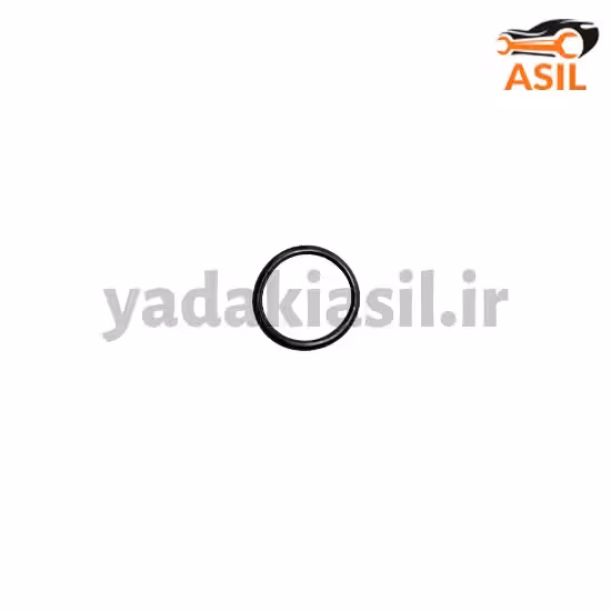 اورینگ ترموستات یورو 4