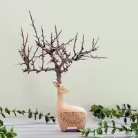 گوزن با شاخ طبیعی بدون پرنده طرح پنج