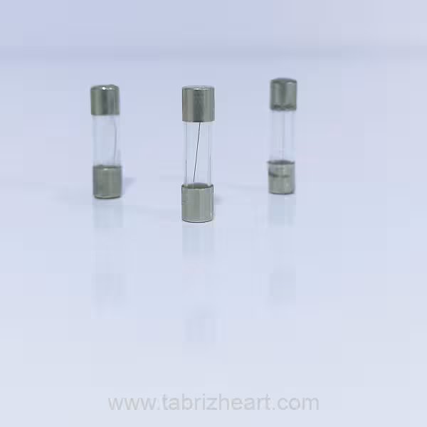 فیوز شیشه‌ای F4A2Cm