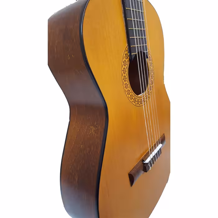 گیتار پارسه مدل M2