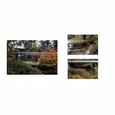 کتاب Juan Grimm اثر Mitzi Rojas انتشارات تیمز و هادسون