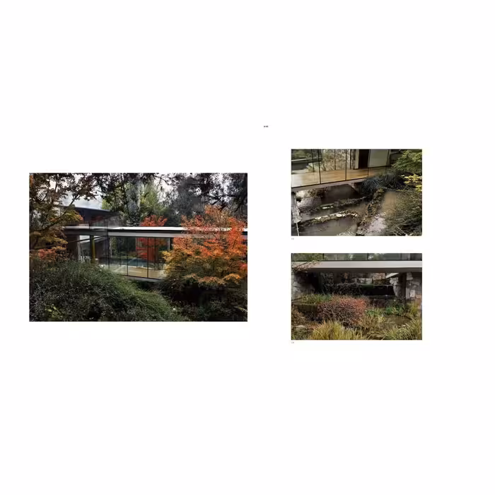 کتاب Juan Grimm اثر Mitzi Rojas انتشارات تیمز و هادسون