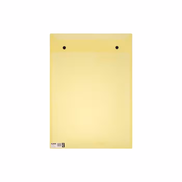 پوشه دکمه دار پاپکو مدل ارکید 124 - A3 -  بسته 6 عددی