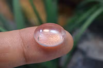 در نجف اصلی