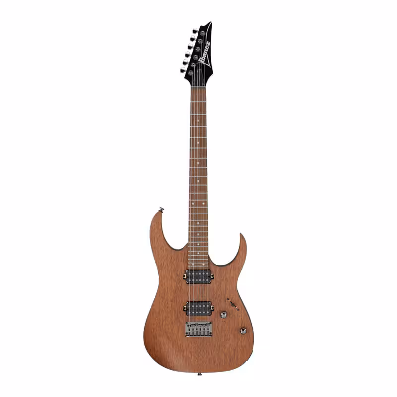 گیتار الکتریکIBANEZ RG421 MOL