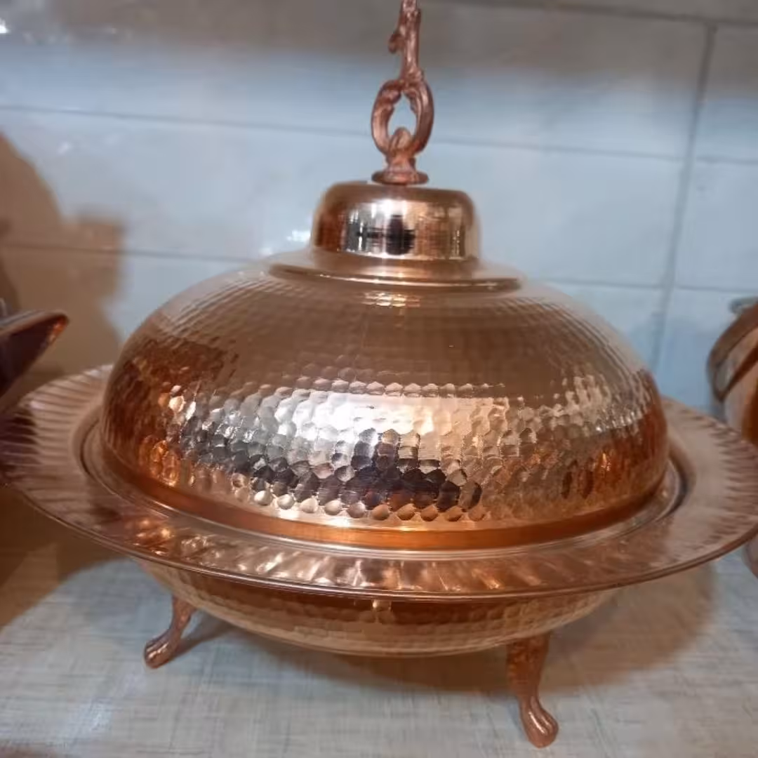 مرغ خوری سفینه ای