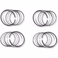 رینگ موتور پژو 405 هاستینگز ایساکو شرکتی