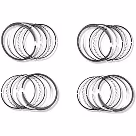 رینگ موتور پژو 405 هاستینگز ایساکو شرکتی