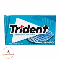 آدامس تریدنت طعم نعنا سرد