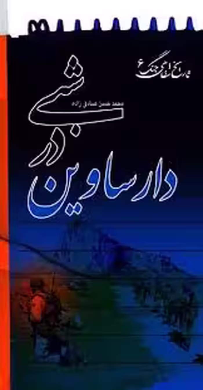 شبی در دارساوین