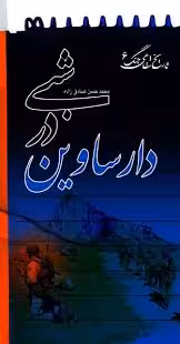 شبی در دارساوین