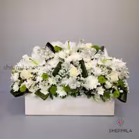 باکس گل شکیبا