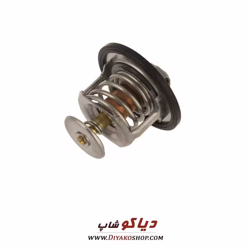 ترموستات جک s5