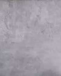 بک دراپ چوبی کد 298 روشن (در 2 سایز)